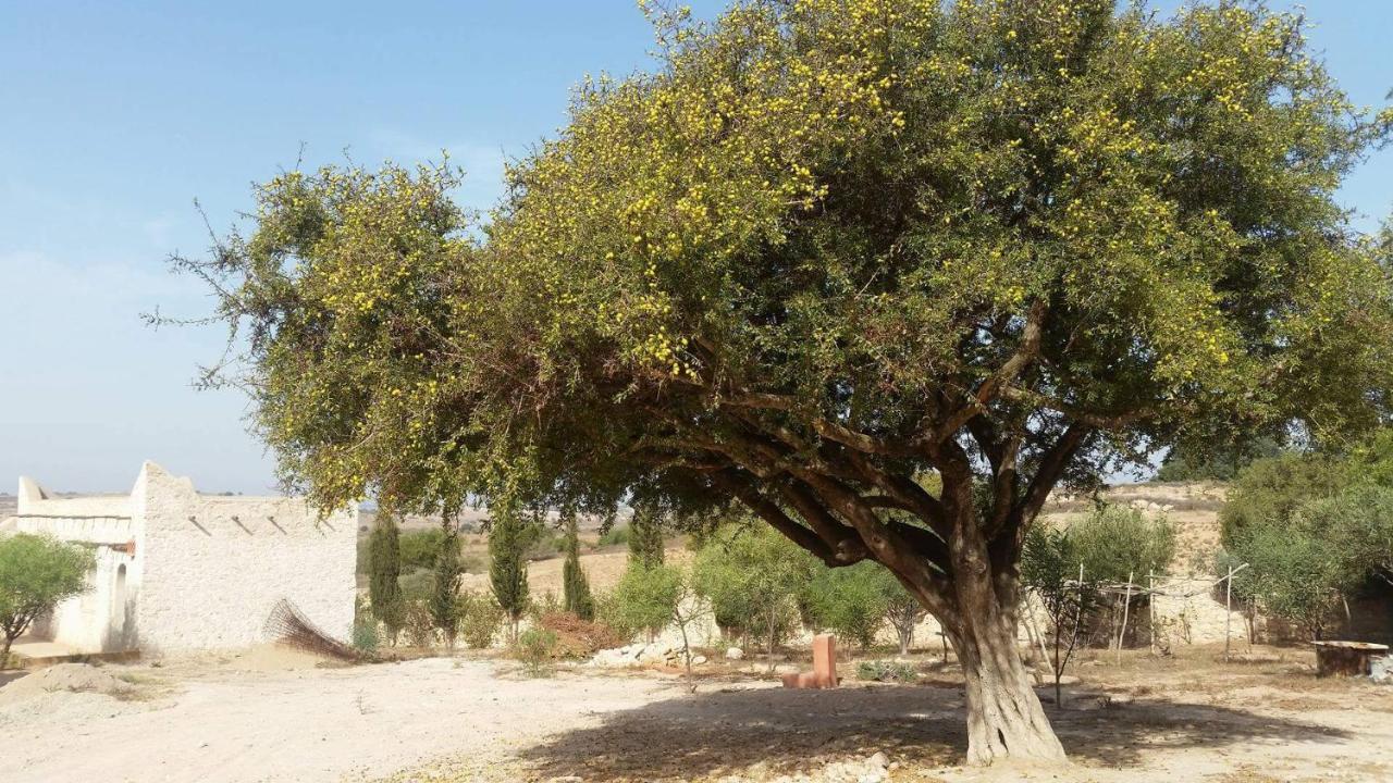 Domaine Argania Hotel Essaouira Esterno foto